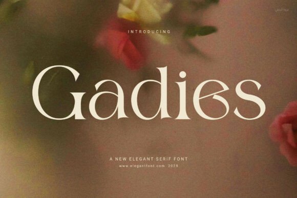 Gadies: A Serif Font for Web Designers