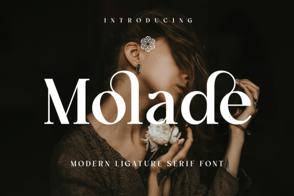 Molade Regular: A Modern Ligature Serif Font for Web Design