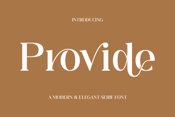 Provide Serif Font for Web Designers Who Value Clarity and Character