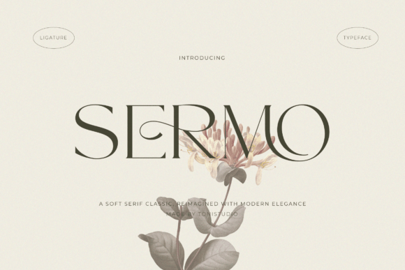 Sermo Serif Font: A Refined Typeface for Growing Brands