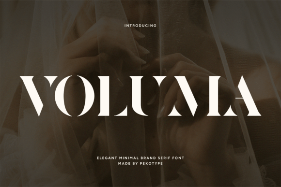 Voluma Serif Font: Elegant Design for Your Business